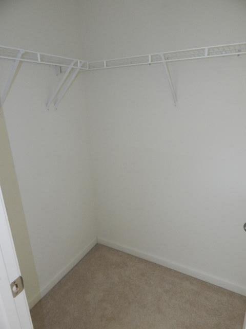 752 White Cloud Dr, Lyman, SC 29365 photo 8