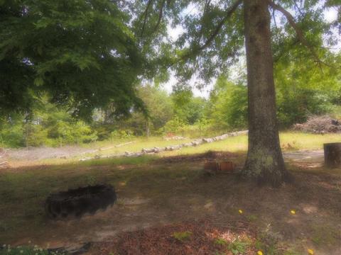 640 Ferree Rd, Campobello, SC 29322 photo 8