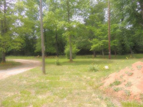 640 Ferree Rd, Campobello, SC 29322 photo 9
