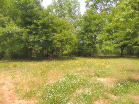 640 Ferree Rd, Campobello, SC 29322 photo 7
