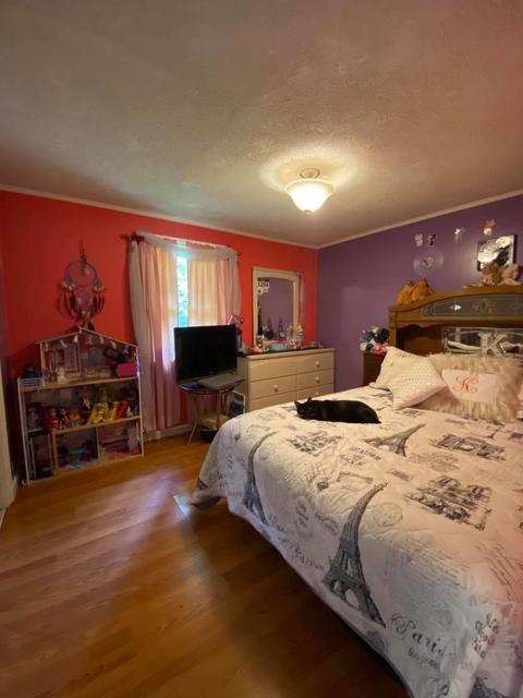 61 Country View Ln, Mill Spring, NC 28756 photo 18