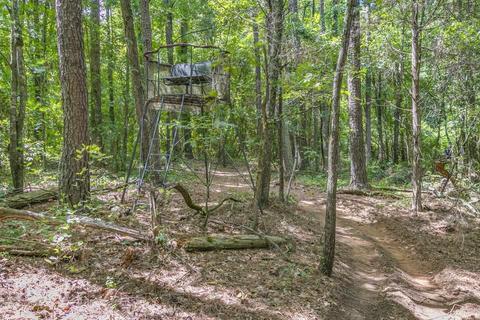 203 Rackley Ln, Easley, SC 29642 photo 30