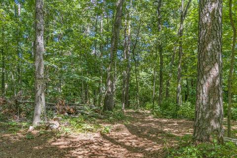 203 Rackley Ln, Easley, SC 29642 photo 25