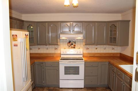 166 Rippy Rd, Tryon, NC 28782 photo 9