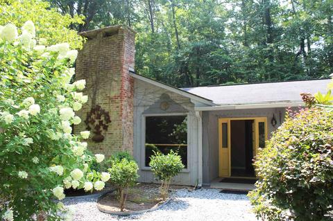 166 Rippy Rd, Tryon, NC 28782 photo 4