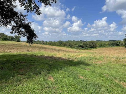 425 Old Mill Rd, Chesnee, SC 29323 photo 3