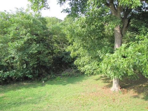 2 Ash St, Startex, SC 29377 photo 6