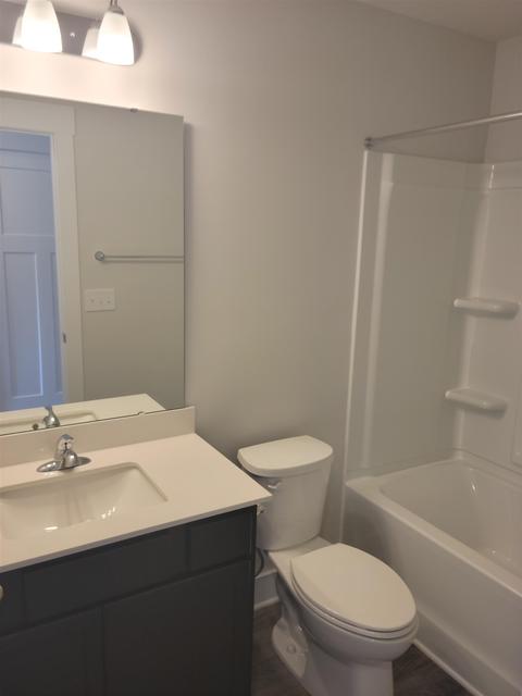 1054 Millison Pl, Moore, SC 29369 photo 10
