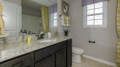421 Pine Nut Way, Boiling Springs, SC 29316 photo 28