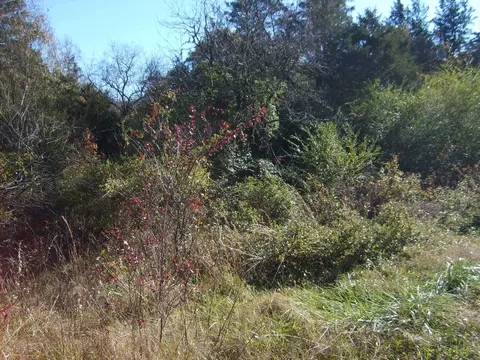 tbd Ellis Ferry Rd, Gaffney, SC 29341 photo 6