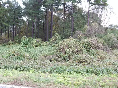 tbd Ellis Ferry Rd, Gaffney, SC 29341 photo 3