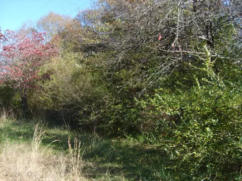 tbd Ellis Ferry Rd, Gaffney, SC 29341 photo 5