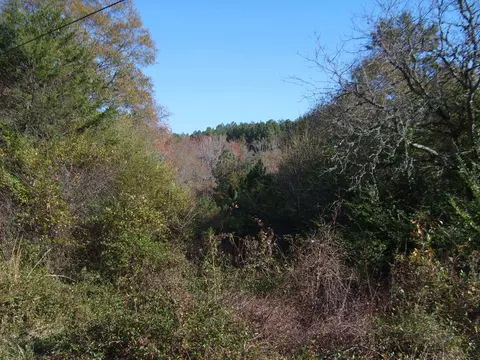 tbd Ellis Ferry Rd, Gaffney, SC 29341 photo 1