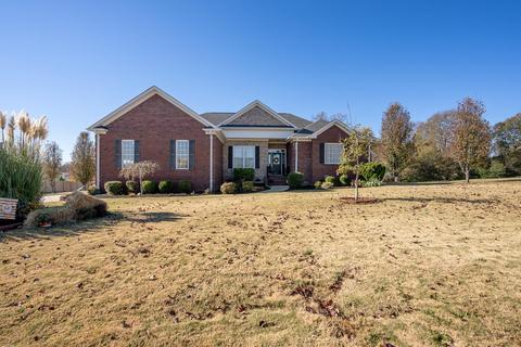 132 Deyoung Meadows Dr, Greer, SC 29651 photo 2