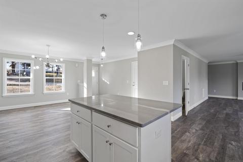 225 Settle Ave, Campobello, SC 29322 photo 21
