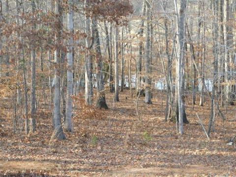 196 Foxfire Dr, Gaffney, SC 29340 photo 12