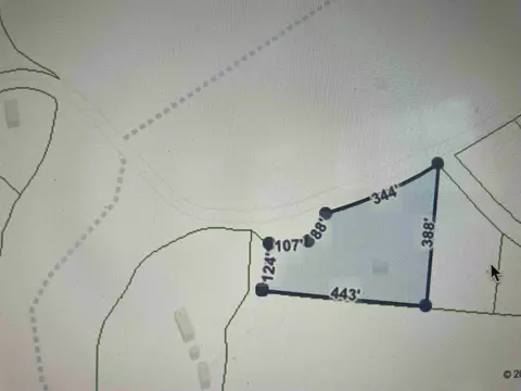 1020 Dickson Rd, Campobello, SC 29322 photo 3