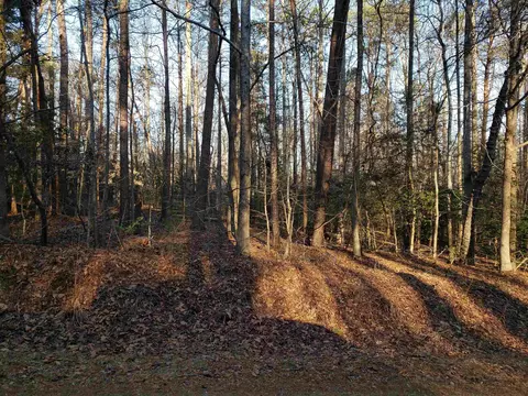 142 Caroline Dr, Roebuck, SC 29376 photo 1