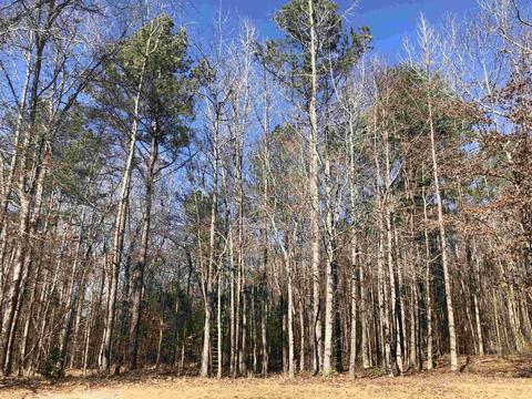 211 N Monterey Dr, Moore, SC 29369 photo 28