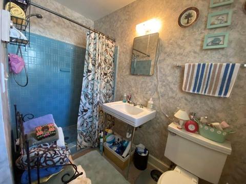 70 Laurel Ave, Tryon, NC 28782 photo 17