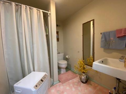 70 Laurel Ave, Tryon, NC 28782 photo 21