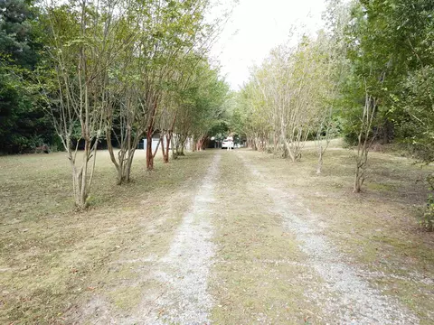 567 Bob White Dr, Waterloo, SC 29384 photo 1