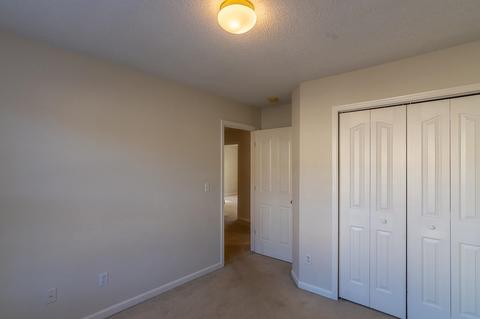 105 Constantine Way, Greer, SC 29650 photo 20