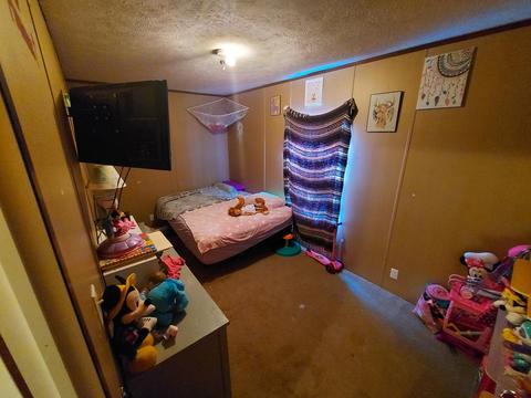 1745 Browning, Enoree, SC 29335 photo 19