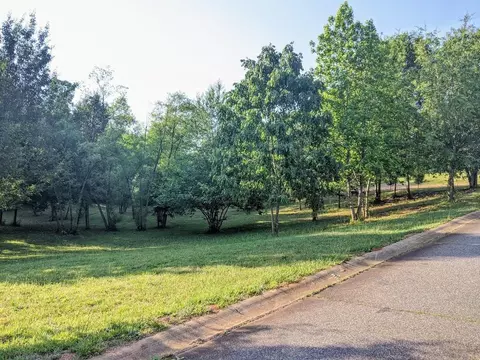 132 Matalin Ct, Greer, SC 29651 photo 1