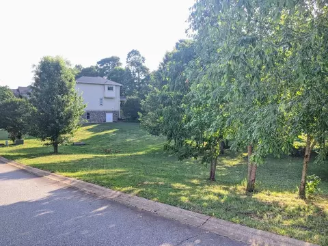 132 Matalin Ct, Greer, SC 29651 photo 2