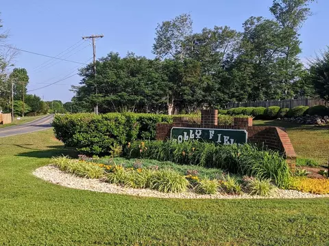 132 Matalin Ct, Greer, SC 29651 photo 3