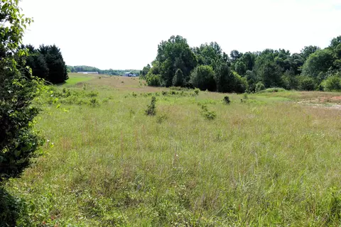 311 Grindall Ford Rd, Gaffney, SC 29340 photo 5