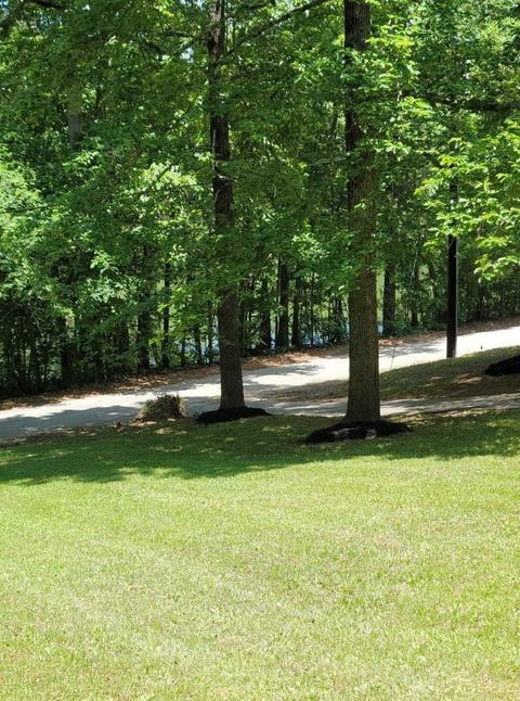 155 Ellison Rd, Lyman, SC 29365 photo 32