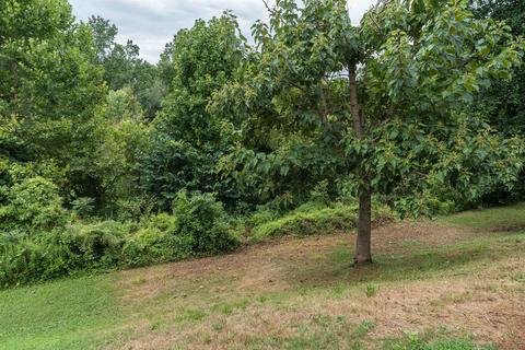 419 Split Oak Ln, Inman, SC 29349 photo 23