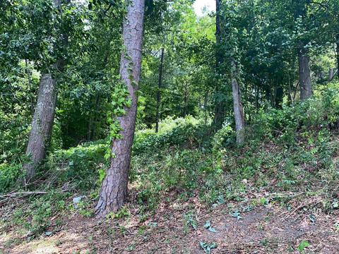 59 Simpson Cir, Waterloo, SC 29384 photo 10