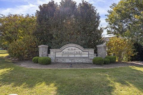 513 Turning Leaf Ln, Greer, SC 29651 photo 36