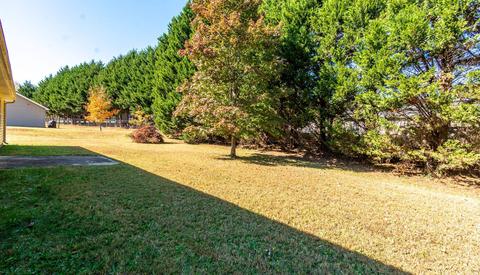 6 Setinel Ct, Greer, SC 29650 photo 18