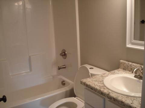152 Rhett St, Roebuck, SC 29376 photo 11