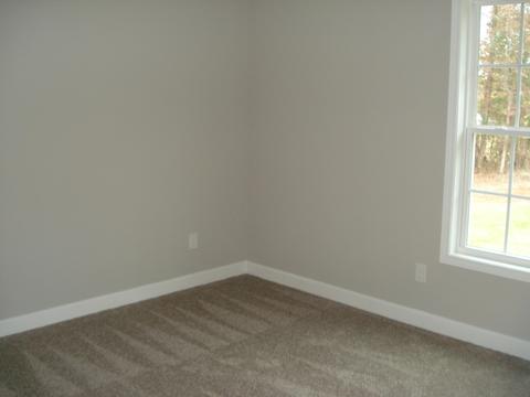 152 Rhett St, Roebuck, SC 29376 photo 9