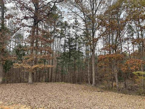 116 Mudbridge Rd, Buffalo, SC 29321 photo 15