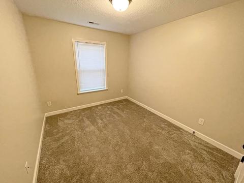 190 Rector St, Campobello, SC 29322 photo 10