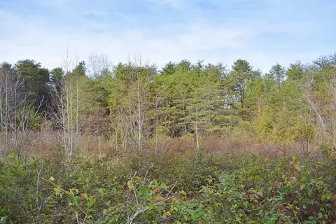 0 Wall St, Campobello, SC 29322