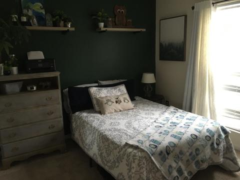 45 Bellows Falls Dr, Greer, SC 29650 photo 27