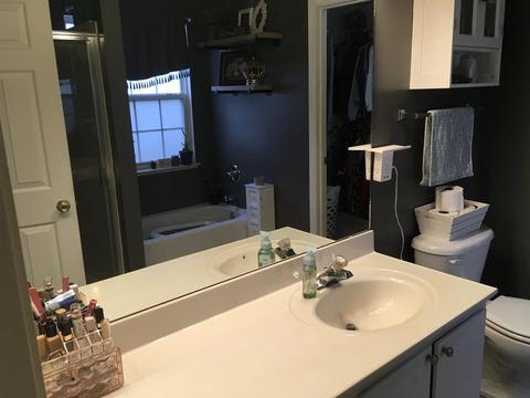45 Bellows Falls Dr, Greer, SC 29650 photo 17