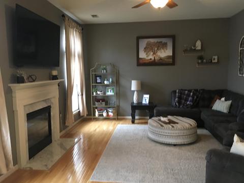 45 Bellows Falls Dr, Greer, SC 29650 photo 10