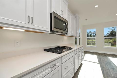 910 Wild Pine Ct, Duncan, SC 29334 photo 16