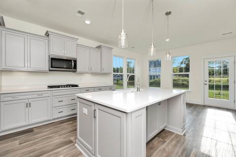 910 Wild Pine Ct, Duncan, SC 29334 photo 13