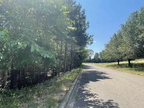 tbd Peachview, Gaffney, SC 29341