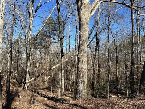 Foxfire Drive, Gaffney, SC 29340 photo 2