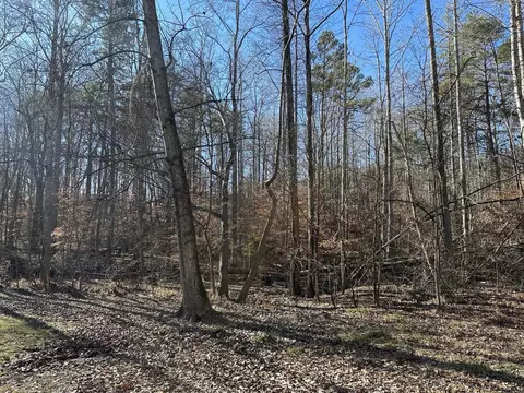 Foxfire Drive, Gaffney, SC 29340 photo 3